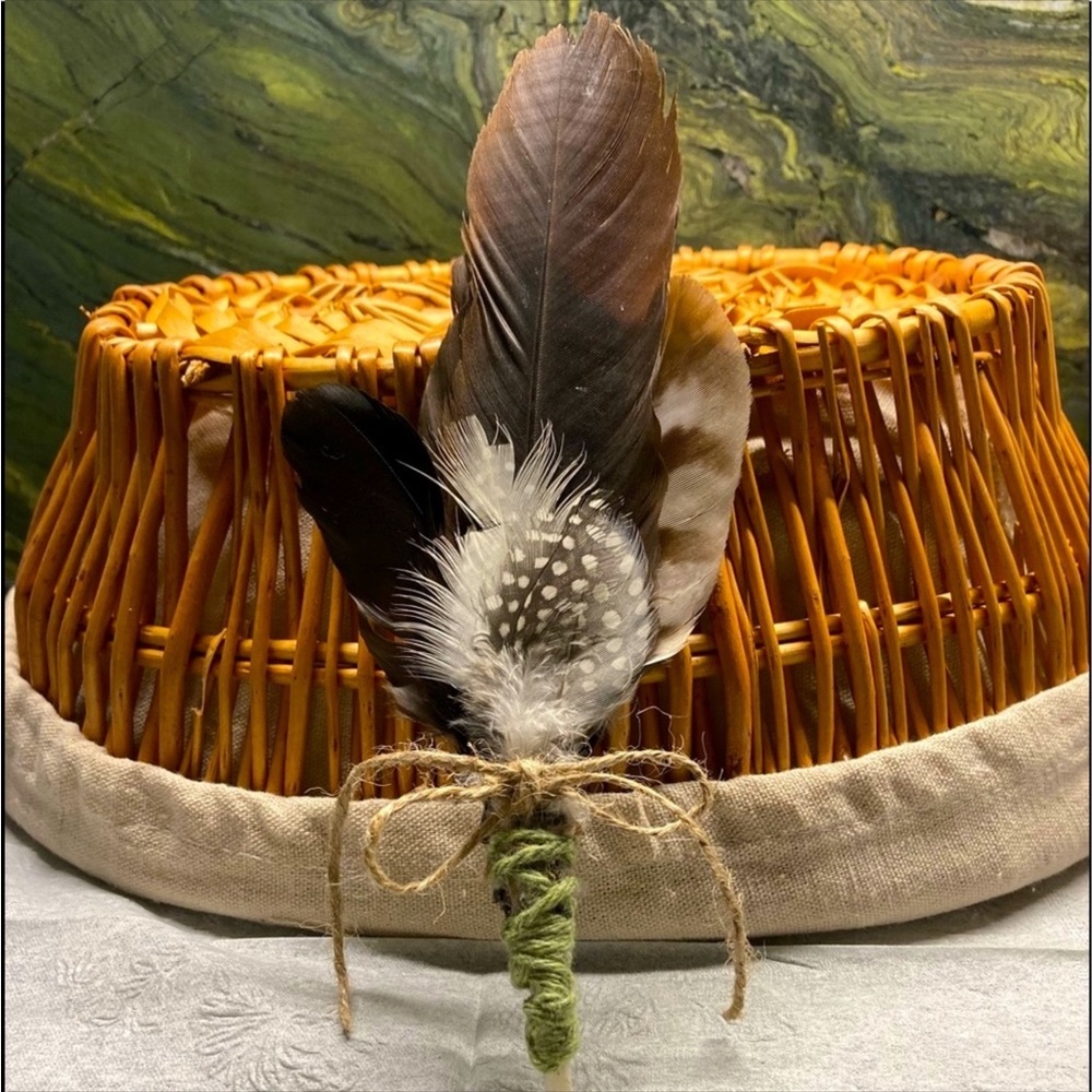 Feather Artwork Hand Crafted Natural Home Decor New